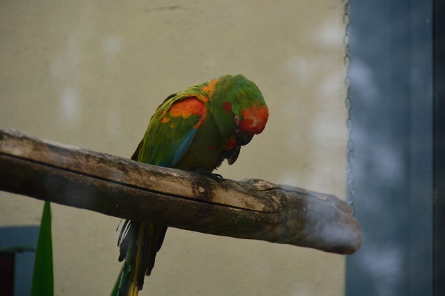 20150326 - Rome - 247